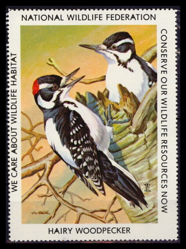 National Wildlife Federation Stamp - 1975 MNH - Hairy Woodpecker