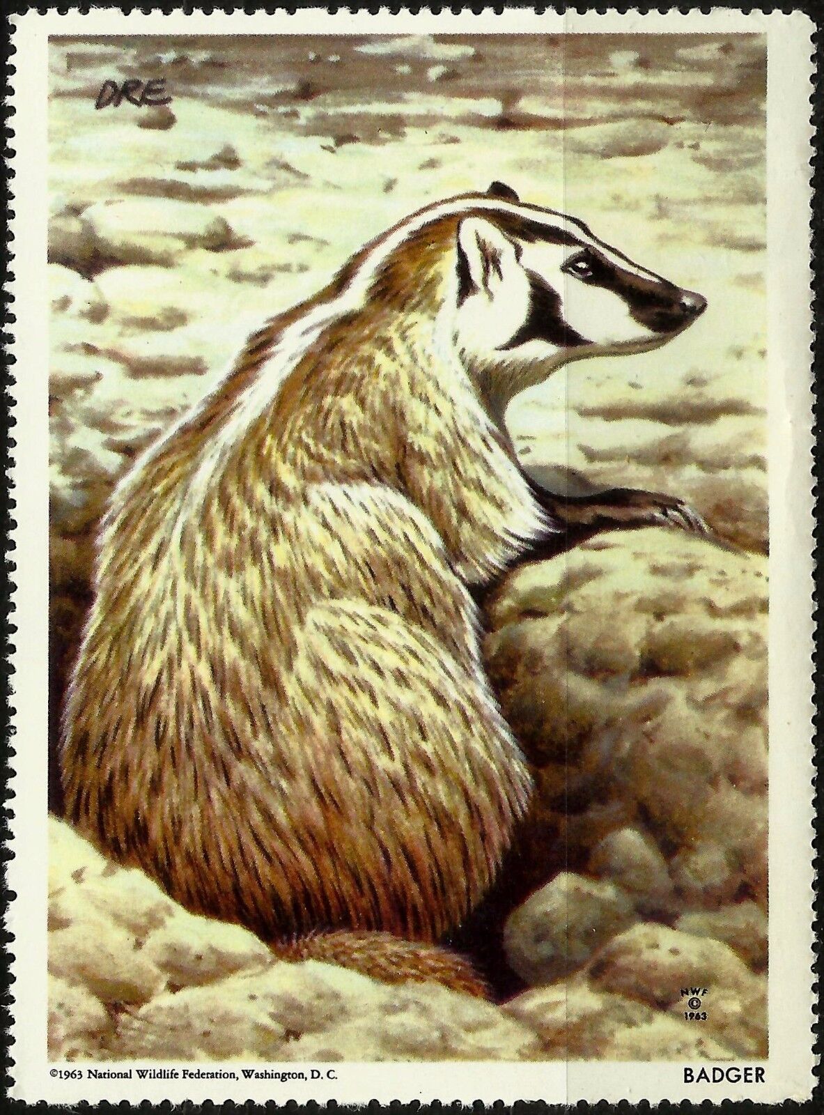 BADGER, NATIONAL WILDLIFE FEDERATION CINDERELLA 1963, MNH