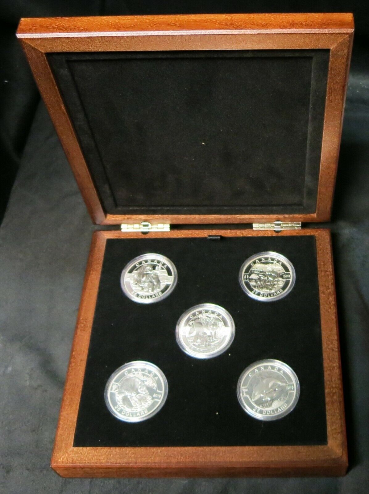2013 - O Canada - Pure Silver Set - Five $25 Coins - In Presentation Case